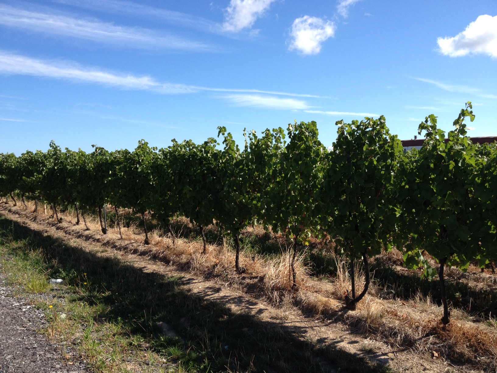 Visit – Country Hospitality