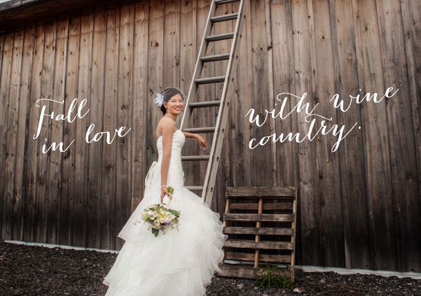 caroline-header-bride-ladder