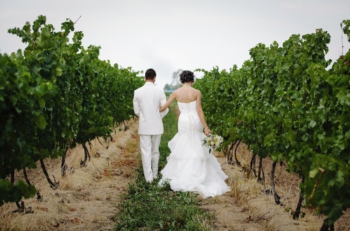 vineyard