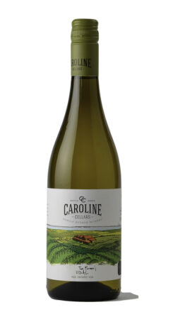 2023 Vidal VQA