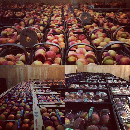 Fabulous Farmers
