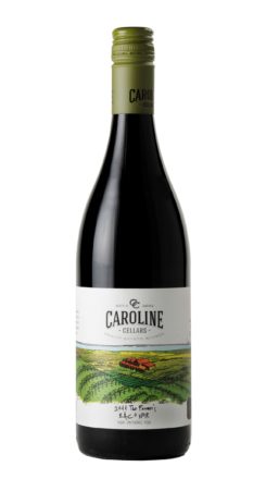 2023 Baco Noir VQA