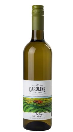 2023 Pinot Grigio VQA