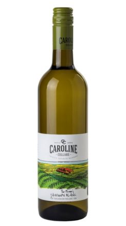 2023 Sauvignon Blanc VQA