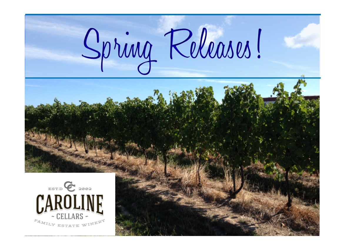 Upcoming New Releases – Now Available for PRE-ORDER!