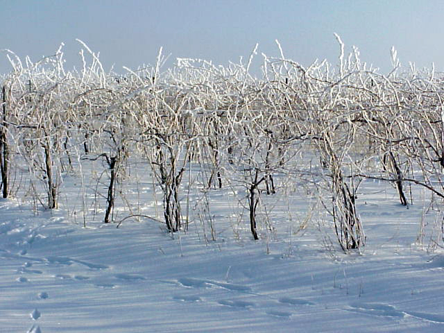 Winter Hours 2021 – In Effect November 1st