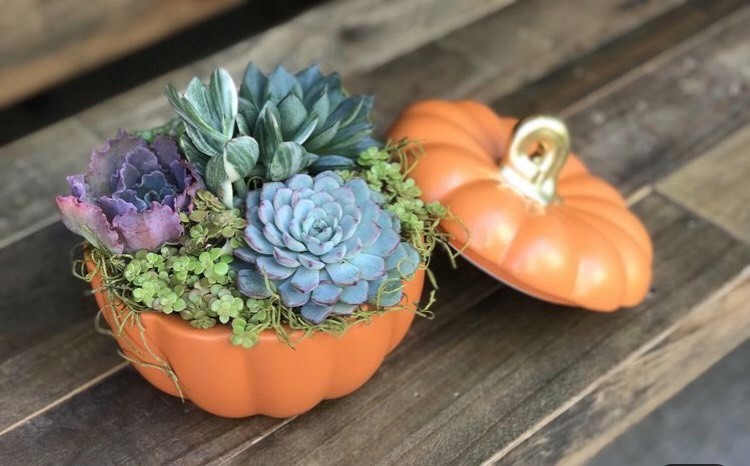 Fall Floral Workshop – Succulent Planter