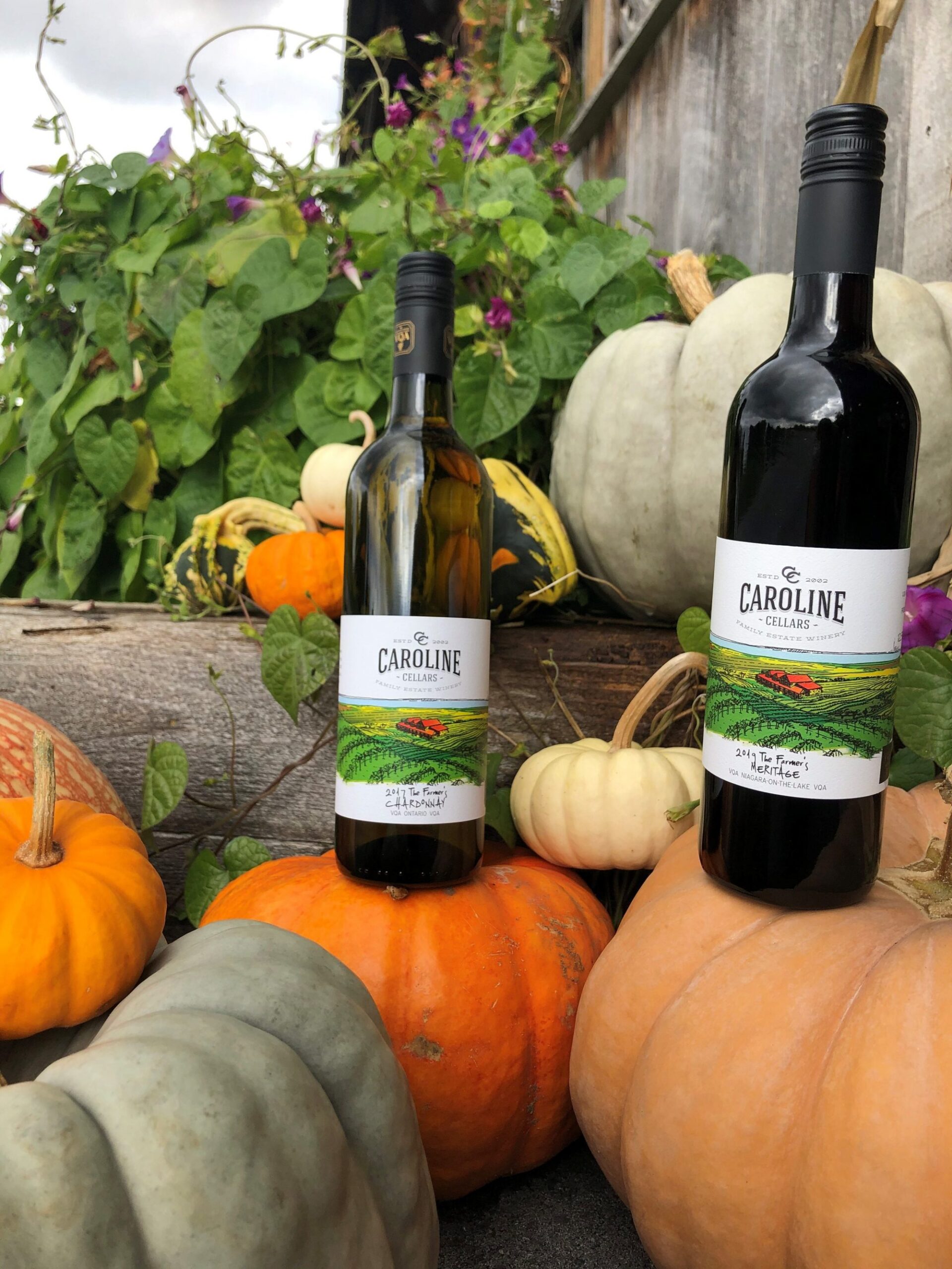 Thanksgiving2020-e1601911862294a