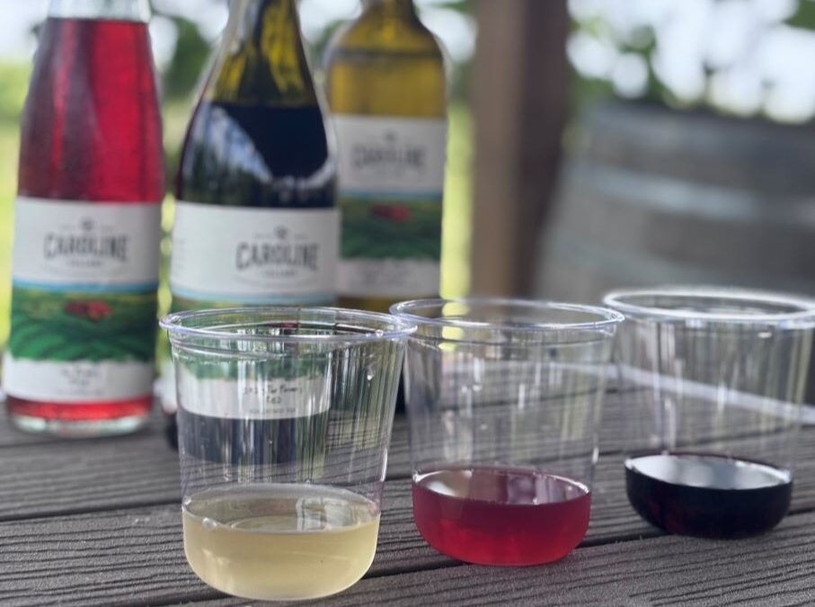 Vineyard Tasting Experience