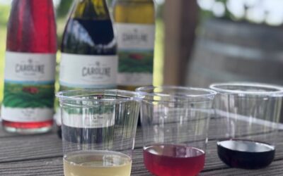 Vineyard Tasting Experience