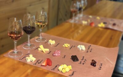 Sip, Snack, Discover